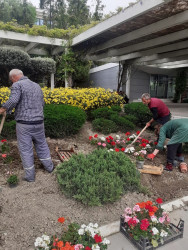 Mingəçevir şəhər İcra Hakimiyyətinin  "Konstitusiya və Suverenlik" ili ilə əlaqədar tərtib etdiyi Tədbirlər planına əsasən Yaşıllaşdırma və Sanitar Təmizlik İdarəsi ağac əkmə aksiyası keçirdi.