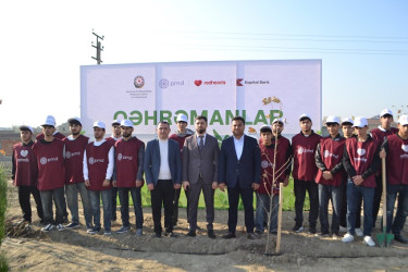 Şəhidlərin xatirəsinə ağacəkmə aksiyası keçirilib