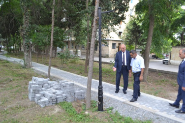 Yeni yaradılan xiyabana baxış keçirildi