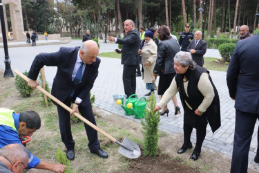 ANIM GÜNÜ mingəçevirlilər şəhidlərin məzarlarını ziyarət etdilər