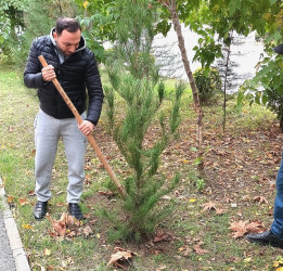 Oktyabrın 26 də Mingəçevir şəhərində ağacəkmə aksiyası davam etdirildi