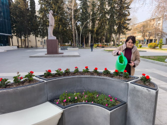 MİNGƏÇEVİRDƏ ÜMUMŞƏHƏR İMƏCİLİYİ KEÇİRİLİB