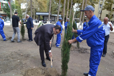 Mingəçevirdə izdihamlı tədbir keçirildi