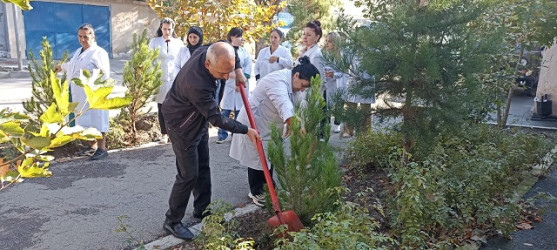 Oktyabr ayının 22-də Mingəçevir şəhərində ağacəkmə aksiyası davam etdirilib.