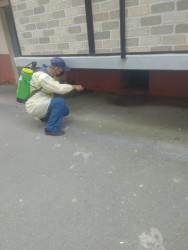 Mingəçevir Dezinfeksiya Stansiyasının əməkdaşları şəhər ərazisində profilaktik tədbirlər həyata keçirir