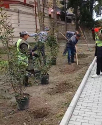 Oktyabrın 25 də Mingəçevir şəhərində ağacəkmə aksiyası davam etdirildi