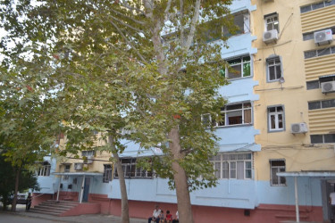 Avqustun 20-də Mingəçevir şəhər İcra Hakimiyyətinin başçısı İlham İsmayılovun vətəndaşlarla növbəti səyyar görüşü keçirilib.