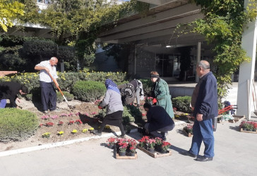 Oktyabr ayının 23-də Mingəçevir şəhərində ağacəkmə aksiyası davam etdirilib.