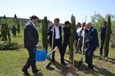 Aprelin 26-da Mingəçevir şəhər İcra Hakimiyyətinin  təşkilatçılığı ilə “Konstitusiya və Suverenlik ili” münasibəti ilə ağacəkmə aksiyası keçirilib.