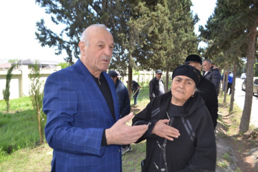 Mingəçevirdə “Şəhərsalma və Memarlıq İli” çərçivəsində ağacəkmə aksiyası keçirildi