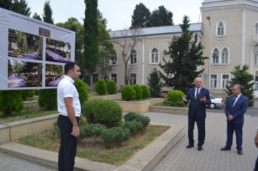 Yeni yaradılan xiyabana baxış keçirildi