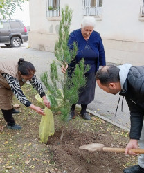 Oktyabrın 26 də Mingəçevir şəhərində ağacəkmə aksiyası davam etdirildi