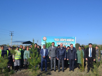 Oktyabrın 24 də Mingəçevir şəhərində ağacəkmə aksiyası davam etdirilib