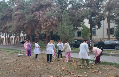 Mingəçevir şəhər Mərkəzi Xəstəxanasında yaşıllaşdırma aksiyası təşkil olunub