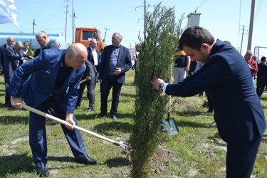 Aprelin 26-da Mingəçevir şəhər İcra Hakimiyyətinin  təşkilatçılığı ilə “Konstitusiya və Suverenlik ili” münasibəti ilə ağacəkmə aksiyası keçirilib.