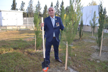 8 Noyabr Zəfər Günü münasibəti ilə Mingəçevir şəhər İcra Hakimiyyətinin təşkilatçılığı ilə sislsilə tədbirlər keçirilib..İlk olaraq "Zəfər parkı" ziyarət olundu. Ağac əkildi.