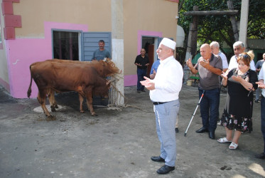 Mingəçevirdə Qurban bayramı münasibəti ilə qurban kəsimi oldu