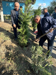 Oktyabr ayının 22-də Mingəçevir şəhərində ağacəkmə aksiyası davam etdirilib.