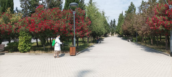 Mingəçevir şəhər GEM və Dezinfeksiya Stansiyasının əməkdaşları tərəfindən şəhərin  müxtəlif ərazilərdə dezinseksiya işləri aparılıb