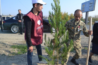 Şəhidlərin xatirəsinə ağacəkmə aksiyası keçirilib