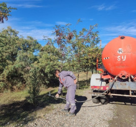 Oktyabr ayının 20-də Mingəçevir şəhərində ağacəkmə aksiyası davam etdirilib.