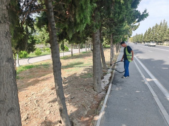 Mingəçevir şəhərində III MDB oyunlarına hazırlıq işləri görülür