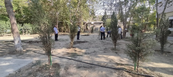 zərbaycan Respublikasının Milli Qəhrəmanı Şəhid Natiq Qasımovun adına yaradılacaq parkda abadlıq -quruculuq işlərinə başlanmışdır.