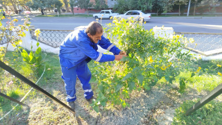 Mingəçevir şəhərində "Anım Günü" ilə bağlı təmizlik işləri aparılmışdır.
