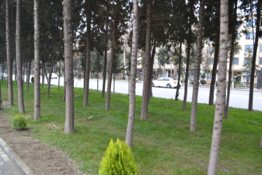 Martın 19-da abadlıq-quruculuq işləri və əsaslı təmir işləri başa çatmış ərazilərə ictimai baxış keçirilib.