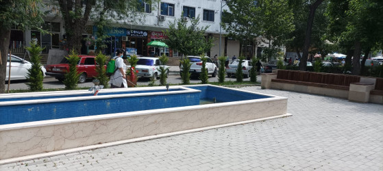 Mingəçevir Şəhər İcra Hakimiyyətlərinin təşkilatçılığı ilə dezinfeksiya tədbirləri keçirilib.