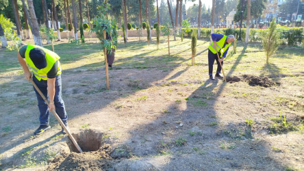 Mingəçevir şəhərində "Anım Günü" ilə bağlı təmizlik işləri aparılmışdır.