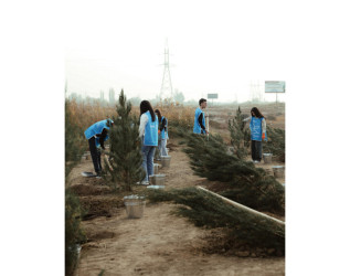 Leyla Əliyeva Mingəçevirdə ekoloji aksiyalarda iştirak edib