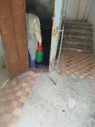 Mingəçevir Dezinfeksiya Stansiyasının əməkdaşları ilanlara qarşı profilaktik tədbirlər görmüşlər