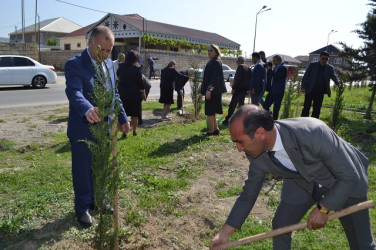 Aprel ayının 18 də “Yaşıl dünya naminə həmrəylik İli” çərçivəsində Ağacəkmə aksiyası keçirildi