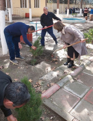 Oktyabr ayının 23-də Mingəçevir şəhərində ağacəkmə aksiyası davam etdirilib.