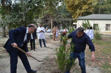 Mingəçevir Mərkəzi xəstəxanasının əməkdaşları   “Yaşıl dünya naminə həmrəylik ili” çərçivəsində aksiya keçirilib.