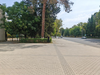 Mingəçevir şəhərində III MDB oyunlarına hazırlıq işləri görülür