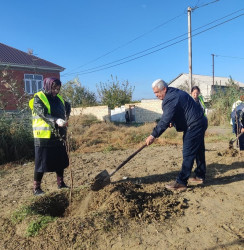 Oktyabr ayının 22-də Mingəçevir şəhərində ağacəkmə aksiyası davam etdirilib.