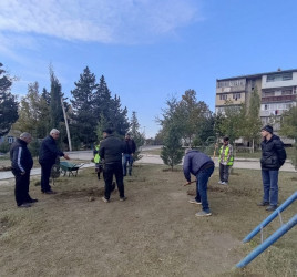 Oktyabr ayının 23-də Mingəçevir şəhərində ağacəkmə aksiyası davam etdirilib.