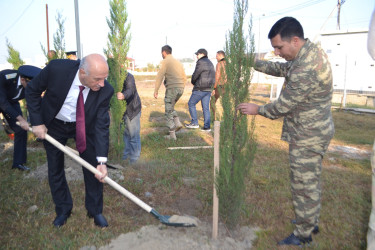 8 Noyabr Zəfər Günü münasibəti ilə Mingəçevir şəhər İcra Hakimiyyətinin təşkilatçılığı ilə sislsilə tədbirlər keçirilib..İlk olaraq "Zəfər parkı" ziyarət olundu. Ağac əkildi.