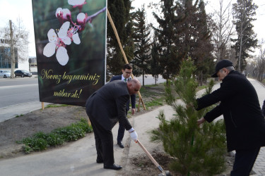 Mingəçevirdə Maliyyə Şöbəsinin işçiləri ağac əkmə aksiyası keçirib.