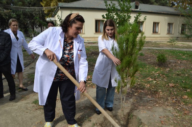 Mingəçevir Mərkəzi xəstəxanasının əməkdaşları   “Yaşıl dünya naminə həmrəylik ili” çərçivəsində aksiya keçirilib.