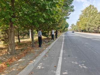 Mingəçevir şəhərində III MDB oyunlarına hazırlıq işləri görülür