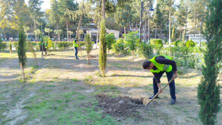 Mingəçevir şəhərində "Anım Günü" ilə bağlı təmizlik işləri aparılmışdır.
