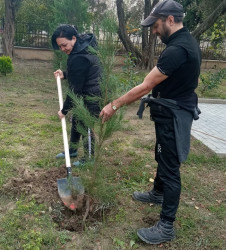 Oktyabrın 26 də Mingəçevir şəhərində ağacəkmə aksiyası davam etdirildi