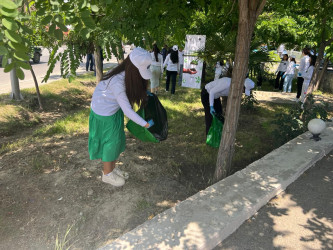 Mingəçevirdə "Yaşıl dünya naminə həmrəylik ili" ilə əlaqədar təmizlik aksiyası keçirilmişdir.