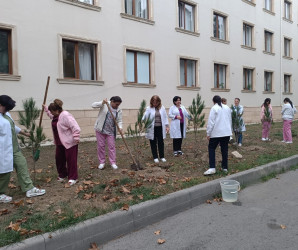Mingəçevir şəhər Mərkəzi Xəstəxanasında yaşıllaşdırma aksiyası təşkil olunub