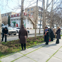 MİNGƏÇEVİRDƏ ÜMUMŞƏHƏR İMƏCİLİYİ KEÇİRİLİB