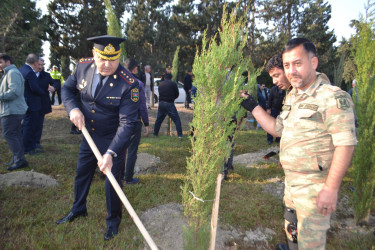 8 Noyabr Zəfər Günü münasibəti ilə Mingəçevir şəhər İcra Hakimiyyətinin təşkilatçılığı ilə sislsilə tədbirlər keçirilib..İlk olaraq "Zəfər parkı" ziyarət olundu. Ağac əkildi.