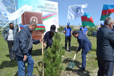 Aprelin 26-da Mingəçevir şəhər İcra Hakimiyyətinin  təşkilatçılığı ilə “Konstitusiya və Suverenlik ili” münasibəti ilə ağacəkmə aksiyası keçirilib.